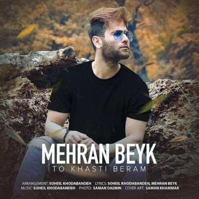  متن آهنگ تو خواستی برم مهران بیک
